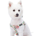 Pet Spring Scent Inspired Floral Sublimation Dog Harness